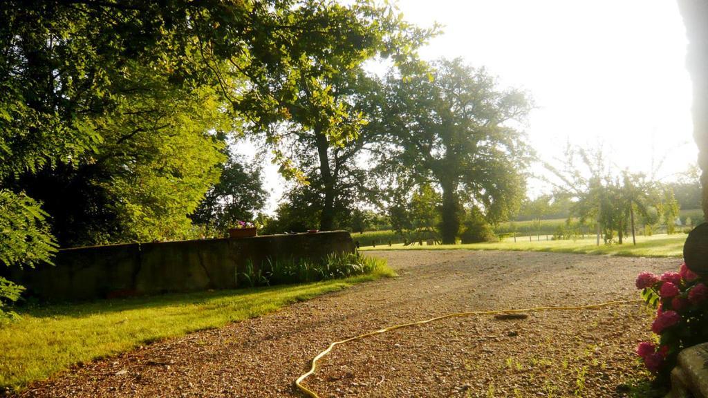 Bed & Breakfast - Maison De Marie Messimy-sur-Saone Buitenkant foto