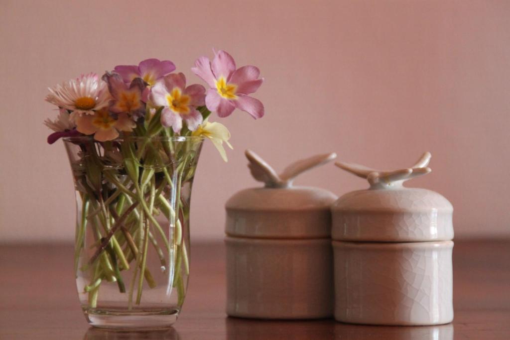 Bed & Breakfast - Maison De Marie Messimy-sur-Saone Kamer foto